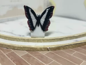 S7T2 FEVE A L'UNITE LES PAPILLONS