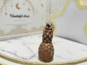 S7T2 FEVE A L'UNITE LES ANANAS