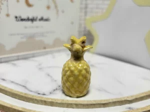 S7T2 FEVE A L'UNITE LES ANANAS