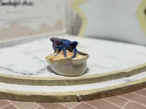 S7T3 FEVE A L'UNITE LES INSECTES