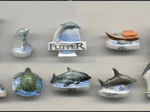 DVO 5 FLIPPER LE DAUPHIN