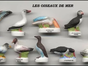 DVO9 OISEAUX DE MER