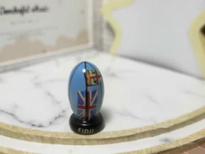 FEVES A L'UNITE LES BALLONS DE RUGBY