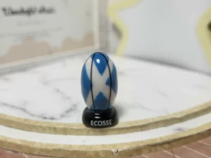 FEVES A L'UNITE LES BALLONS DE RUGBY