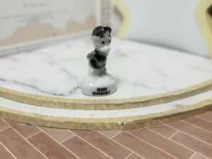 FEVES A L'UNITE PICSOU FAMILLY IRISEE