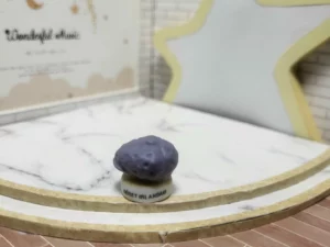 FEVES A L'UNITE LES BERETS