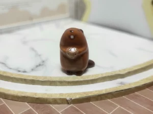 FEVES A L'UNITE LES MARMOTTES