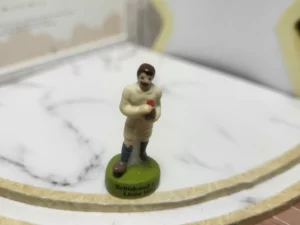 FEVES A L'UNITE 200 ANS DU RUGBY