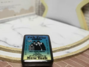 FEVES A L'UNITE THE BEATLES