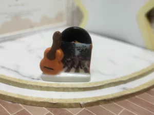 FEVES A L'UNITE THE BEATLES