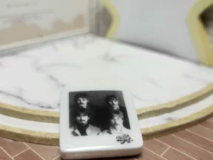 FEVES A L'UNITE THE BEATLES