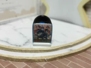 FEVES A L'UNITE THE BEATLES