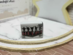 FEVES A L'UNITE THE BEATLES