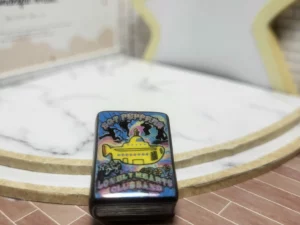 FEVES A L'UNITE THE BEATLES