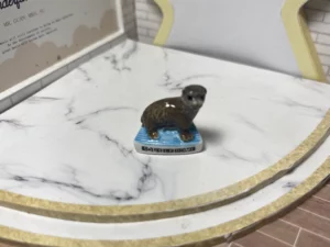 FEVES A L'UNITE LE ZOO DE BEAUVAL