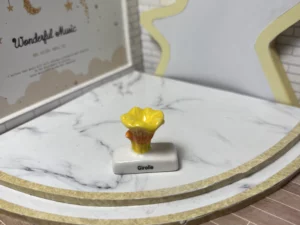 FEVES A L'UNITE LES CHAMPIGNONS