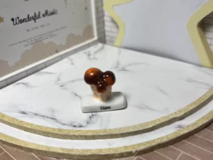 FEVES A L'UNITE LES CHAMPIGNONS