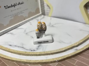 FEVES A L'UNITE LES CHAMPIGNONS