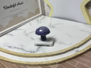 FEVES A L'UNITE LES CHAMPIGNONS