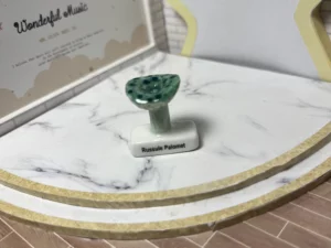 FEVES A L'UNITE LES CHAMPIGNONS