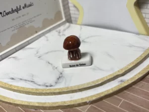 FEVES A L'UNITE LES CHAMPIGNONS