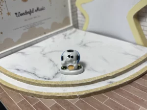 FEVES A L'UNITE LES CRAMPONS DU FOOT