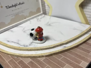 FEVES A L'UNITE LES CRAMPONS DU FOOT