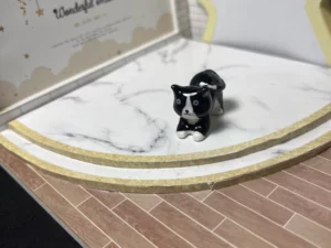 FEVES A L'UNITE LES CHATS