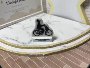 FEVES A L'UNITE SOLUX