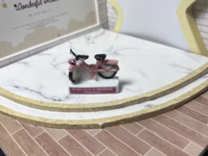 FEVES A L'UNITE SOLUX