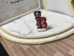 FEVES A L'UNITE SOLUX