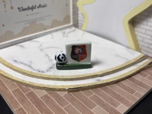 FEVES A L'UNITE FOOT