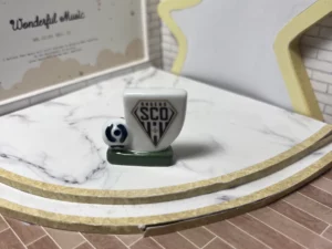 FEVES A L'UNITE FOOT