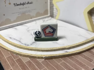 FEVES A L'UNITE FOOT