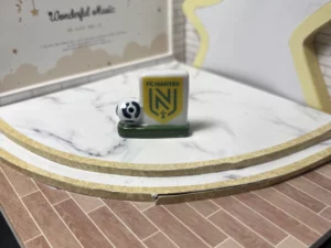 FEVES A L'UNITE FOOT