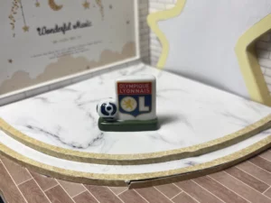 FEVES A L'UNITE FOOT