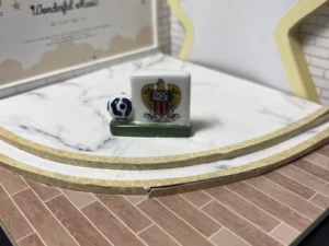 FEVES A L'UNITE FOOT