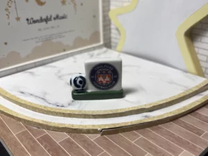 FEVES A L'UNITE FOOT