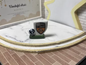 FEVES A L'UNITE FOOT