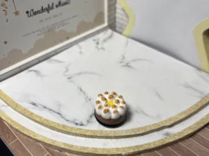 FEVES A L'UNITE DELICES DES PAPILLES-GATEAUX