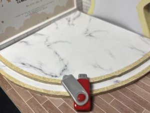 FEVES A L'UNITE FLASHBACK ANNEES 90