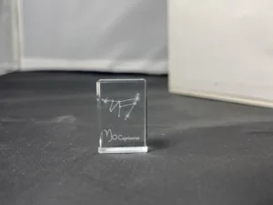 FEVES A L'UNITE SIGNES ASTROLOGIQUES EN VERRE (CAPRICORNE)