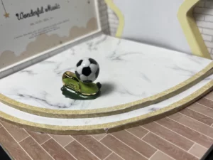 FEVES A L'UNITE LES CRAMPONS DU FOOT