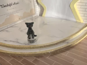 ST9 - PAGNOL PROVENCE