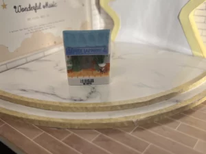 ST9 - PAGNOL PROVENCE