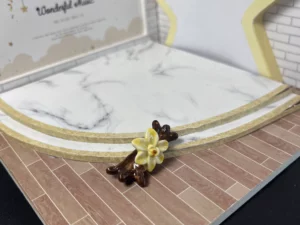 ST9 - GATEAUX VANILLE CHOCOLAT