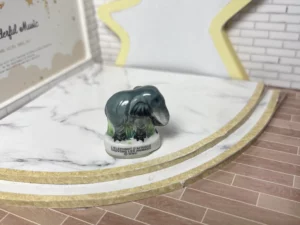 ST9 - LES ANIMAUX DE LA JUNGLE