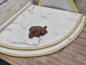 ST8A1 FEVE A L'UNITE OURS