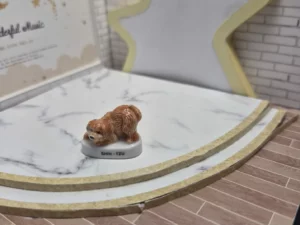 ST8C2 FEVE A L'UNITE LES CHIENS