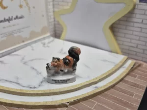 ST8C3 FEVE A L'UNITE LES CHATS